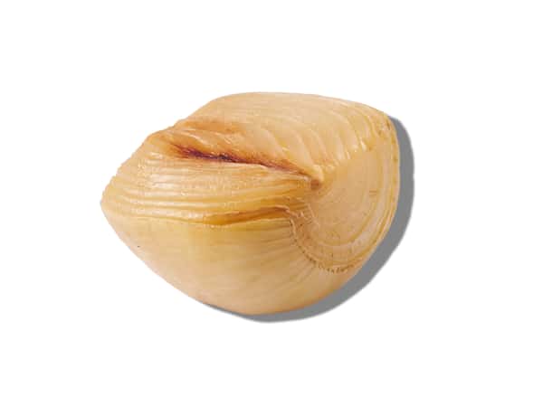 Grilled Onion