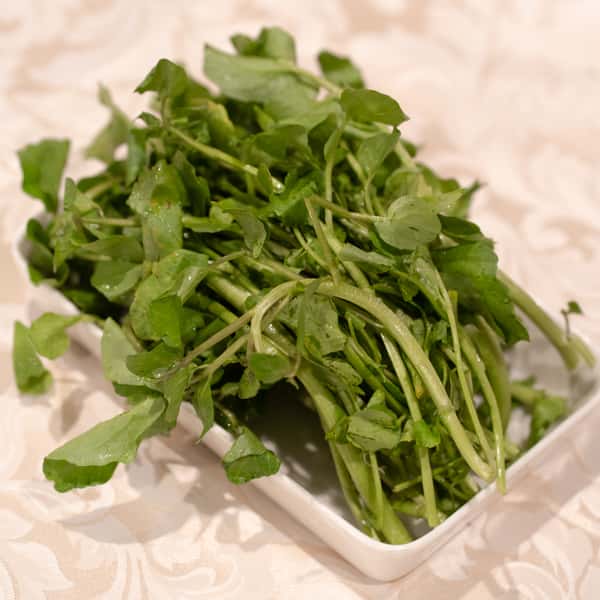 Watercress