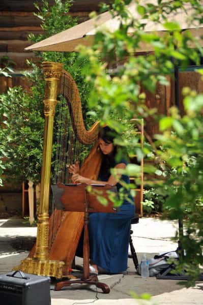 harpist