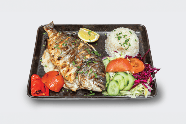 Sea Bass