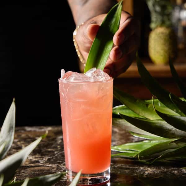 It’s National Rum Day, but around here, we call it another reason to explore the world of rhum. 🥃
Whether you prefer it neat, in a flight, or mixed into a cocktail, our team can help you discover your perfect pour.
Celebrate with Chicago’s home for Caribbean flavor and more than 100 rhums.
#NationalRumDay #14Parish #RhumLovers #ChicagoBars #ParishPunch