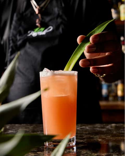 Havana Nights is built around the rhum. Expect curated cocktail programming and elevated pours from our 100+ rhum collection, crafted for a night to remember. July 19th = ten years in paradise. #14Parish
#HavanaNights #ChicagoRumCulture #HydeParkChicago