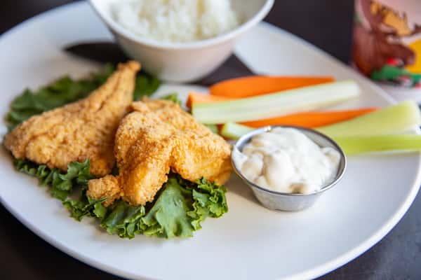 Fish