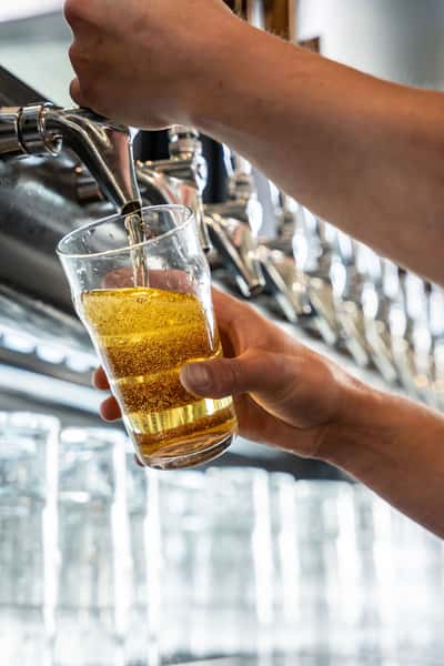 Bartender pouring a golden draft beer from a tap into a pint glass at a brewery taproom.