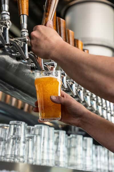 Bartender pouring beer from a tap into a pint glass at a brewery taproom.