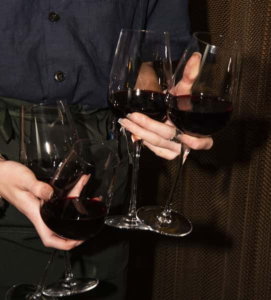 A group of guests holding glasses of red wine during a social gathering, capturing a warm, elegant atmosphere perfect for dining, celebrations, or special occasions.