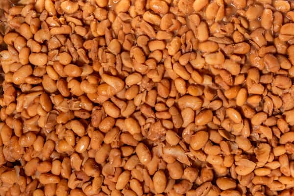 Pinto Beans