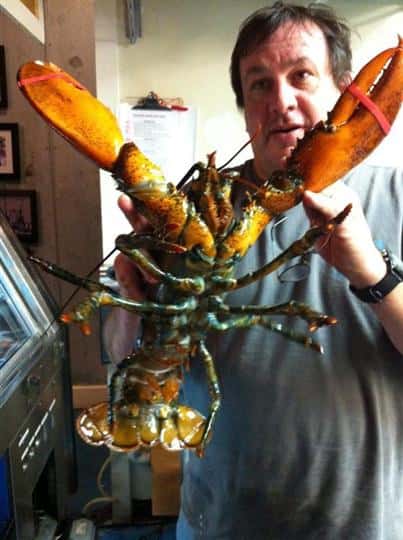 a man holding up a live lobster