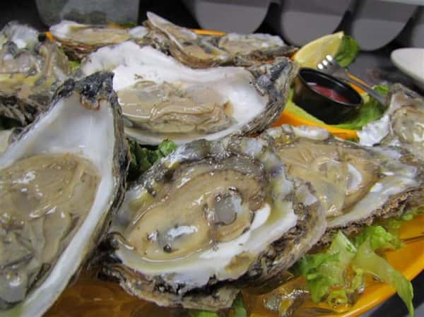 Photo Gallery Fish Bites Seafood Restaurant Restaurant in