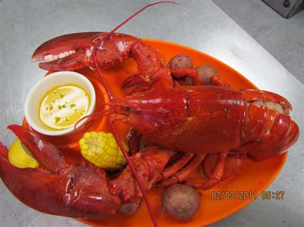 Photo Gallery Fish Bites Seafood Restaurant Restaurant in