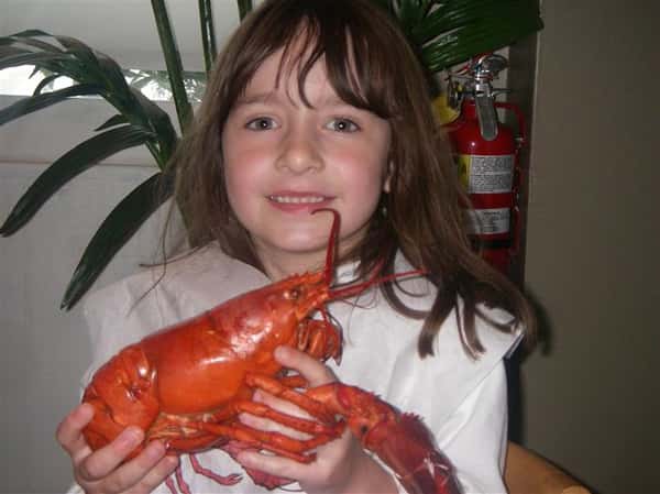 little girl holding a cooked lobster