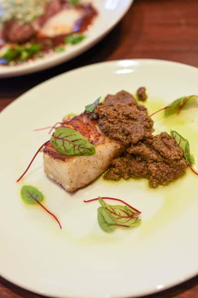 The Blu Halo St Pete Fish Dish