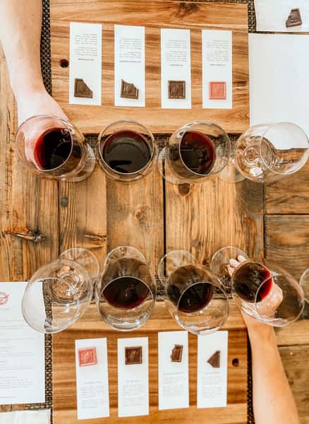 the lineup of wine