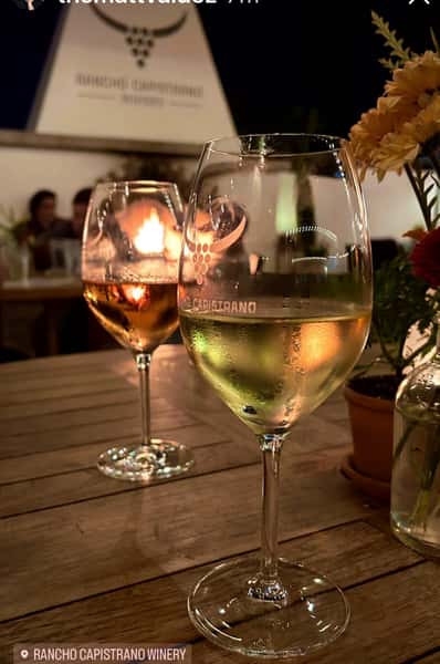 Various shades of wine