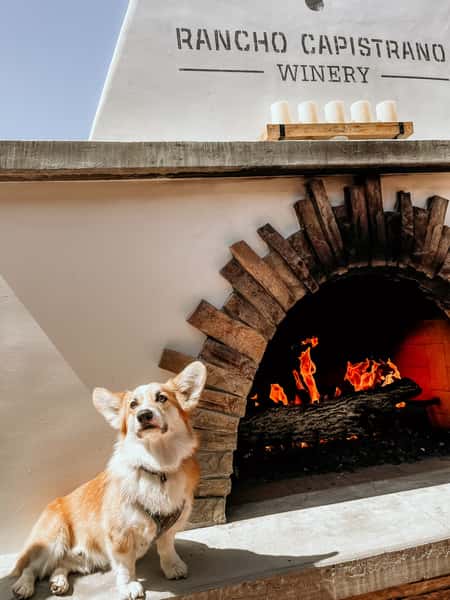 Dog Fireplace