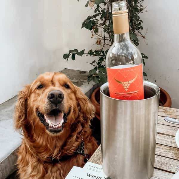RCW Pet Friendly Winery