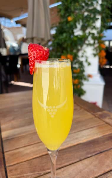 Mimosa