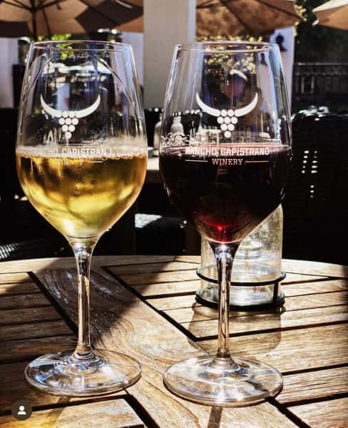 Red & White Wine glass
