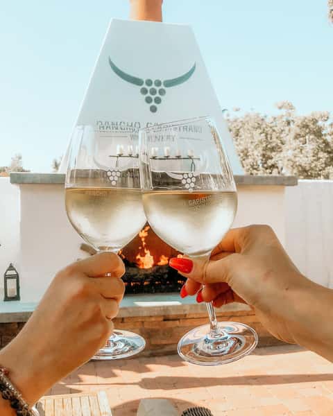 Two glasses of wine being cheered