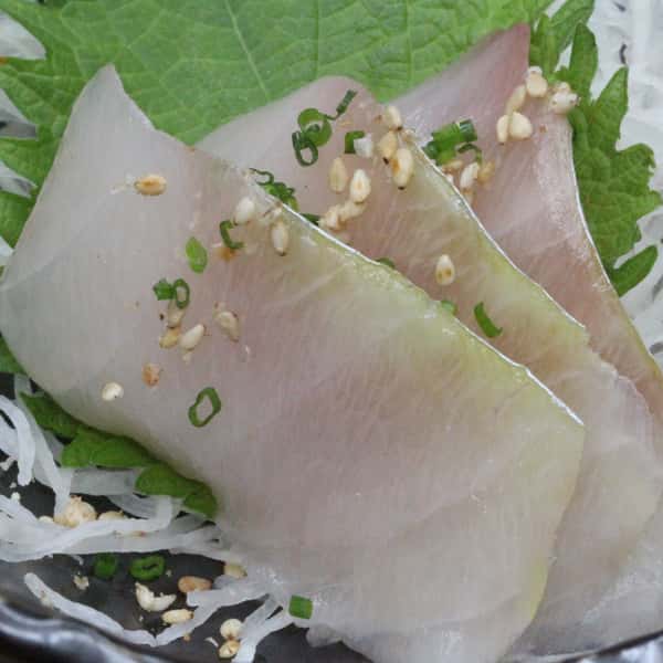 Shima Aji Sashimi