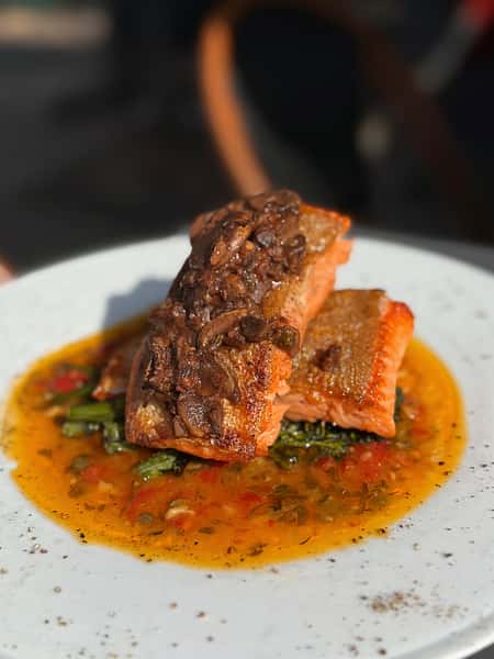 Hudson Valley Steelhead Trout