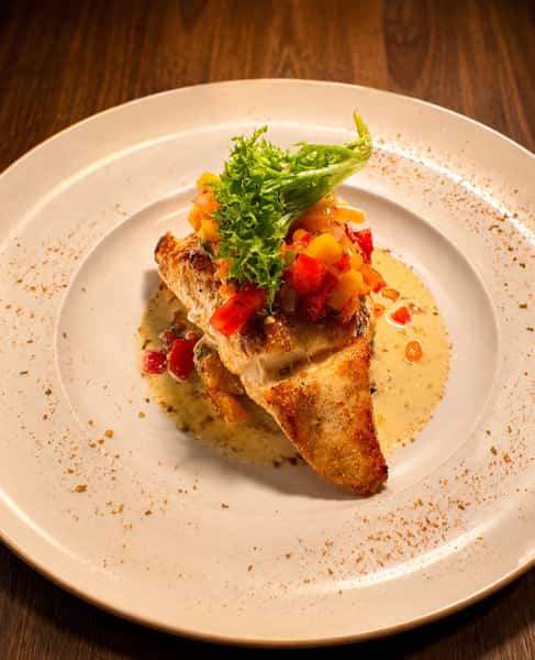 Gulf Grouper