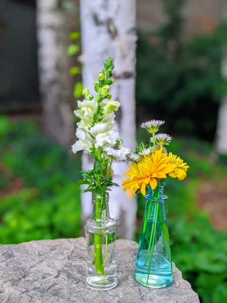 flowers