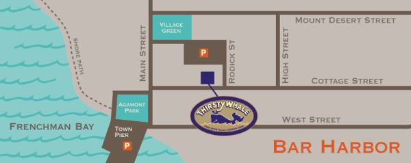 map of the whale