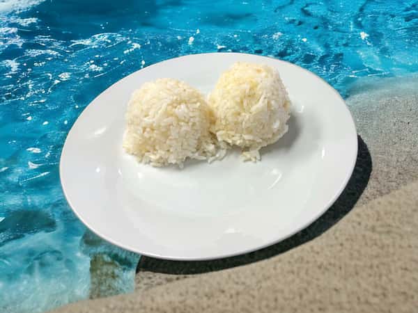 Garlic Rice