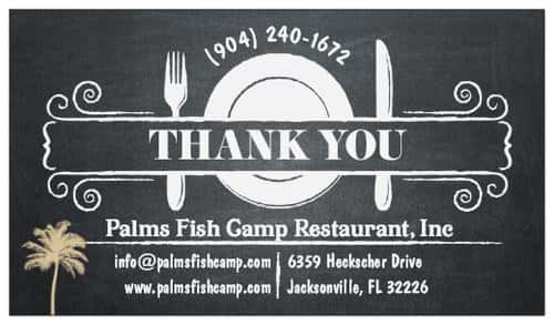 the palms family