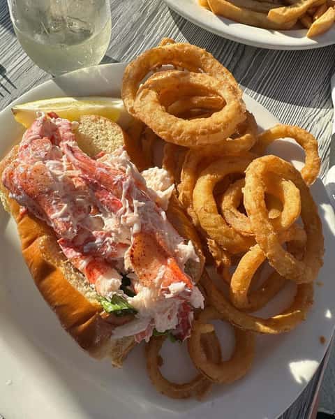Hod dog combo with fries