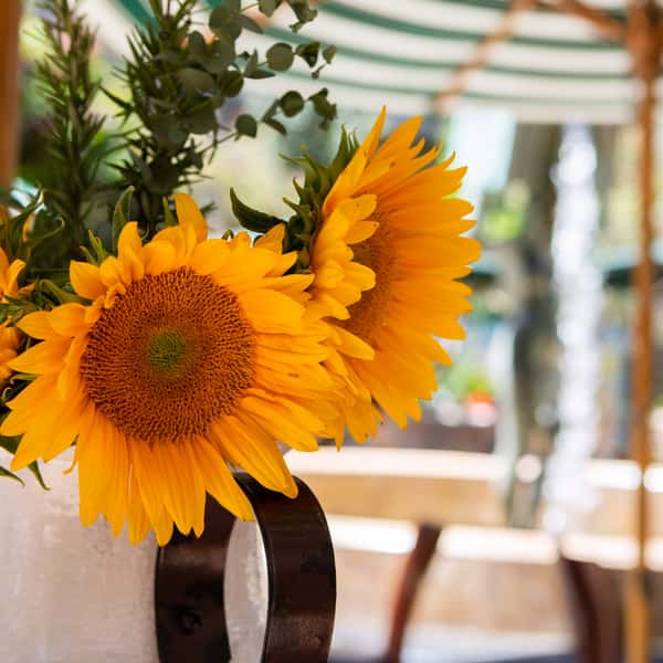 Sunflowers