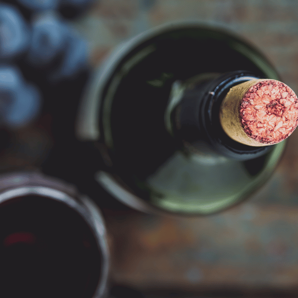 Great Wine Selection