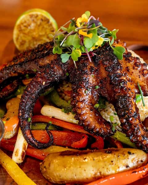 Octopus