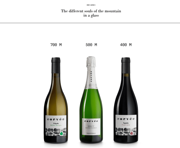 Italian Wine Tasting Night (07/17/2025 - 6PM-9PM)