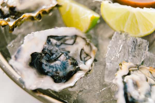 Oyster