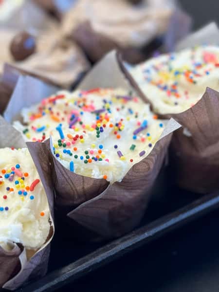 Sprinkle Cupcake
