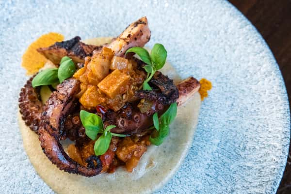 Octopus