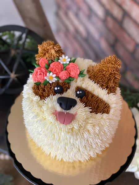 dog cake