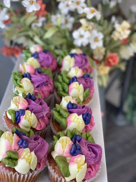 cupcakes2