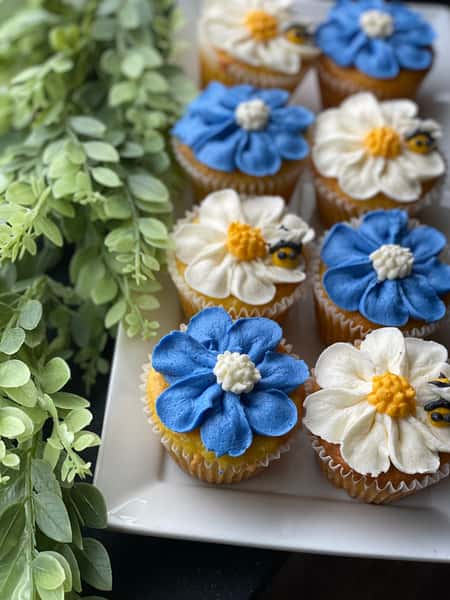 cupcakes