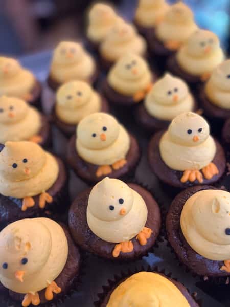 cupcakes