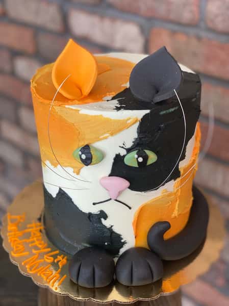 cat cake 