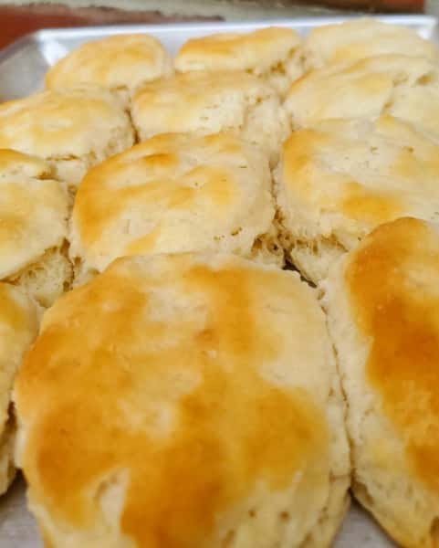 Biscuit