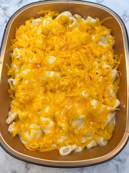 Thanksgiving - 4 Cheese Mac & Shells