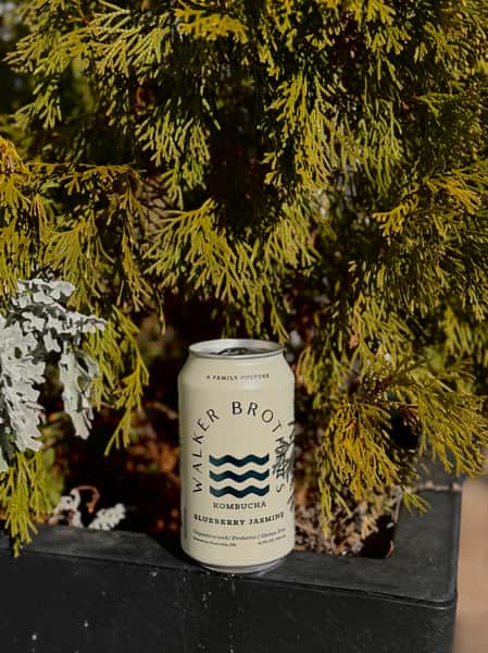 Walker Brothers Blueberry Jasmine Kombucha Can