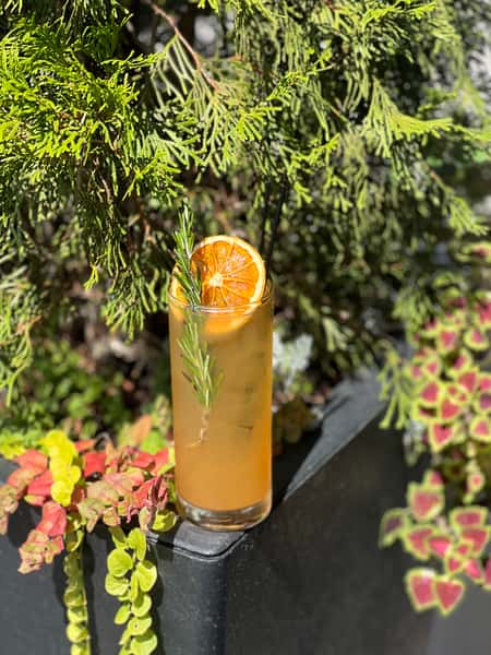 Autumn's Mule