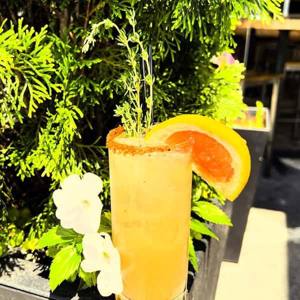 Serrano Paloma