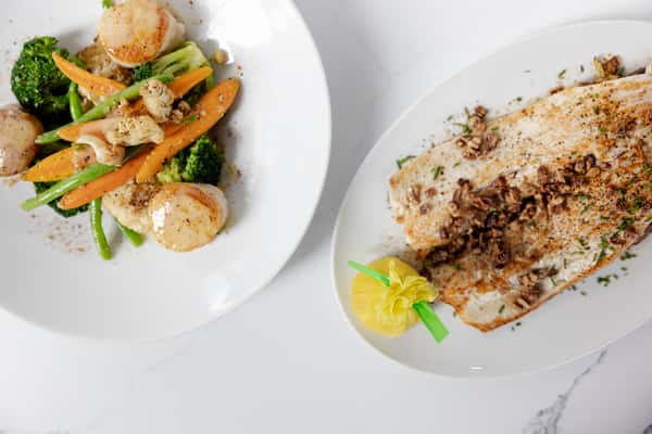 multi dish plate