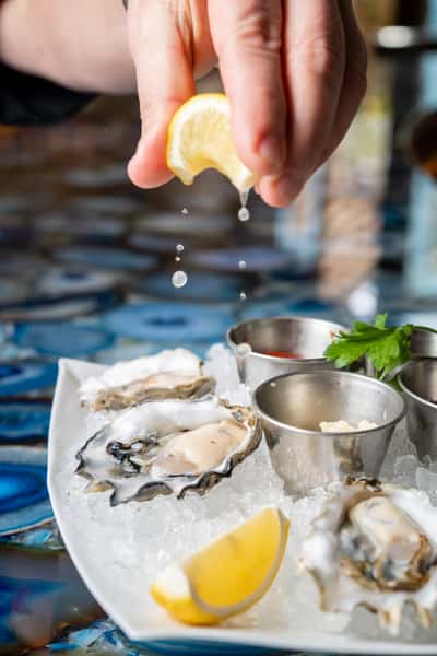 Oysters